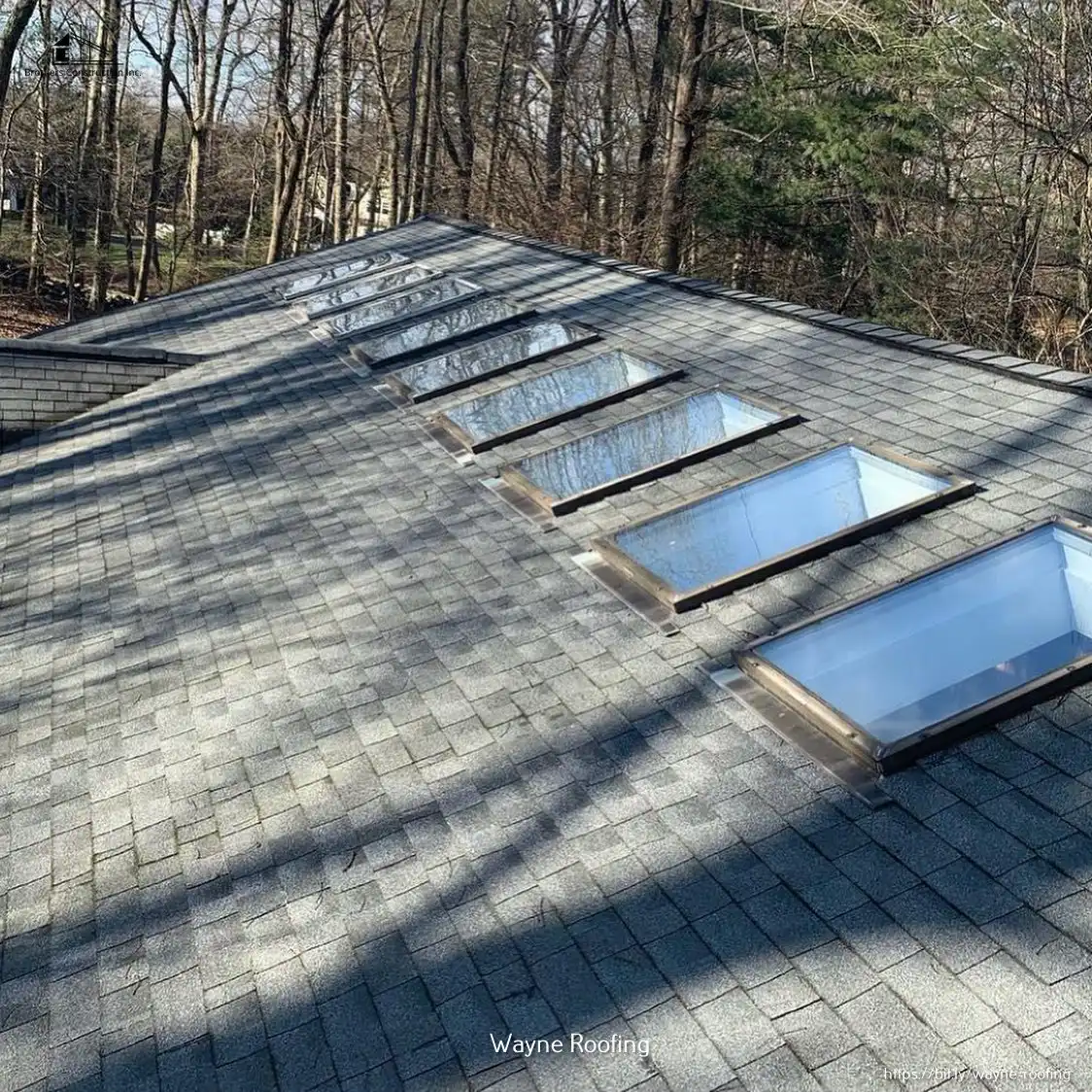 Roofing